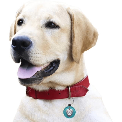 Voodoo Pug Round Pet ID Tag